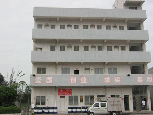 虎门新峰加油站宿舍楼鉴定项目