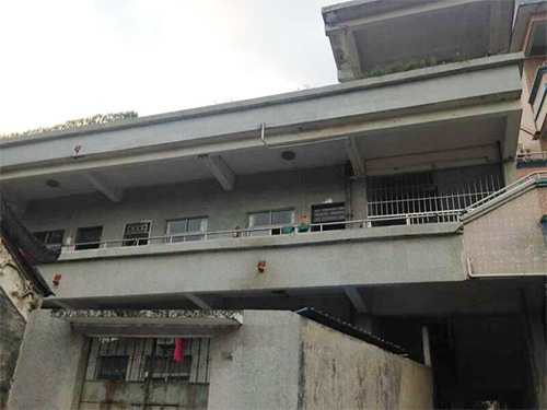 东莞市大朗启明小学鉴定项目