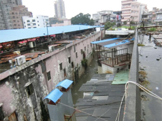 为民市场有限公司鉴定项目