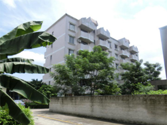 中国石化销售有限公司广东东莞石油分公司宿舍楼房安全鉴定项目